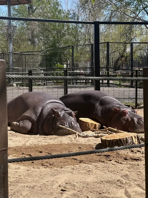🦒 Calgary Zoo 🐾🦦