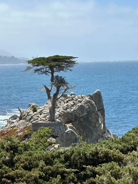 🚗 Bay Area Day Trip｜17-Mile Drive & Carmel-by-the-Sea