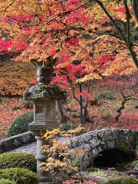 Autumn Vibes at Seattle Japanese Garden 🍂