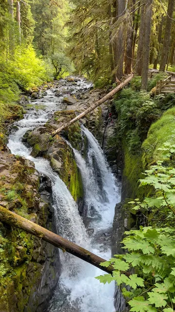 📍Sol Duc Falls | Olympic National Park