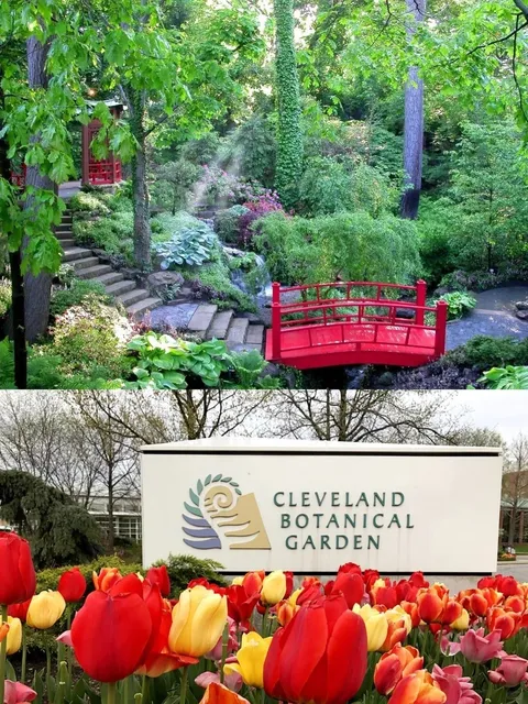 Here’s Your Ultimate List of Hidden Gems in Cleveland! 🌟