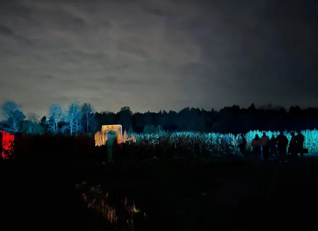 Have a try in The Haunting of Hex wood 