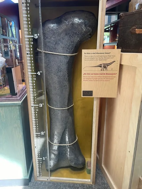 🦖 Best Dino-Spot in the Bay Area