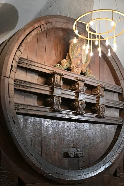 🇩🇪 Study Abroad Diary｜Leaving My Heart in Heidelberg 💔✨