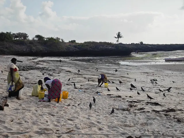 🌅 Dawn at Mayungu Beach: Kenya’s Living Seafood Market