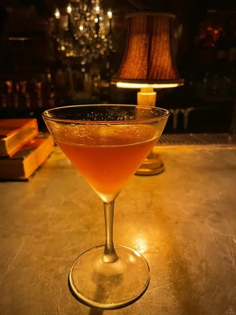 Chicago Speakeasy Series — The Library 📚