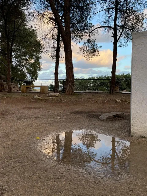 Kasbah Square in Tunis: A Blend of History and Modernity 🌴🌟