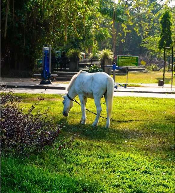Day 12 in Sri Lanka: End of the southern route in Colombo