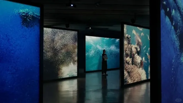 🇪🇸 Whale Songs in Madrid: A Free Immersive Escape 🌊🐋