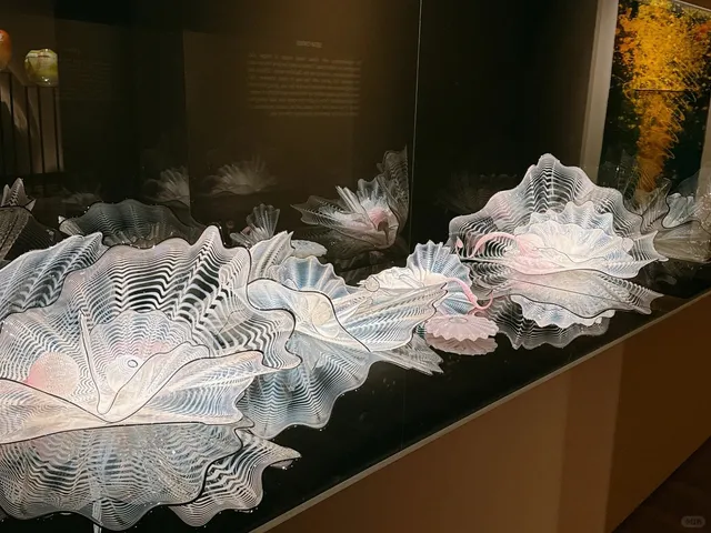 Oklahoma City Museum of Art 🎨