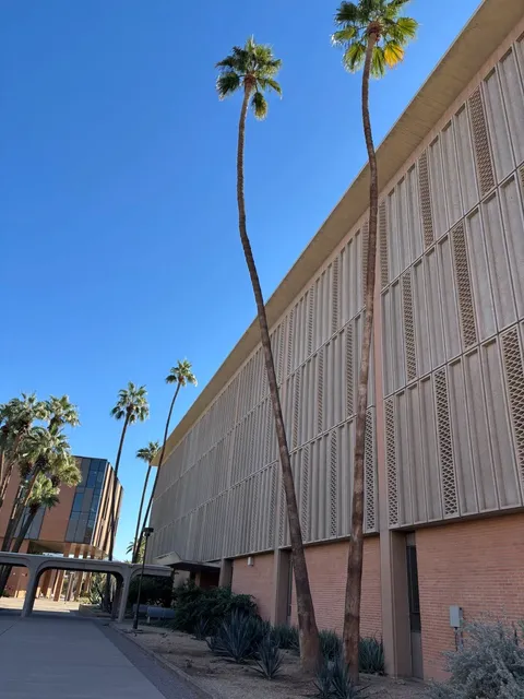 🌴🎨 ASU Art Museum: Desert Vibes & Sky-High Creativity