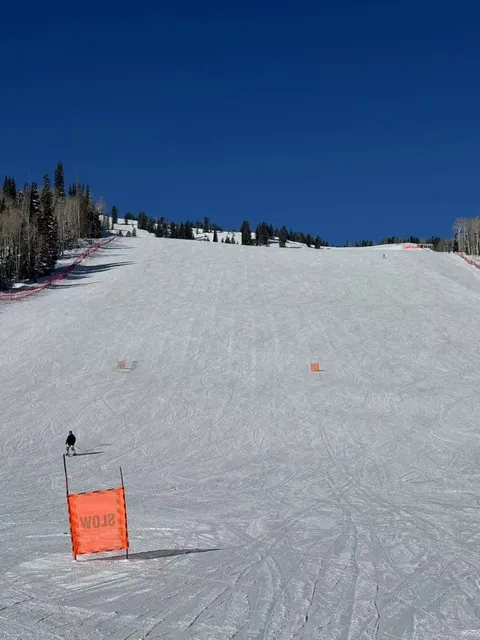 Salt Lake City is the Ultimate Paradise for Carving! 🏂❄️