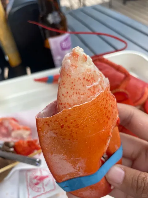 Maine Seafood Review: Acadia & Portland Lobster