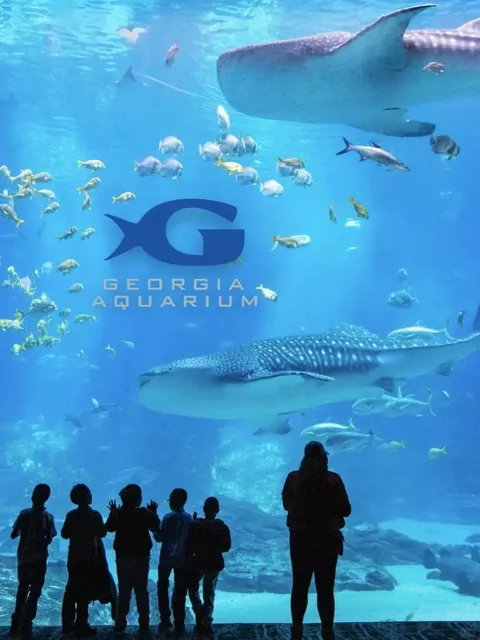 🌟 Atlanta's Ultimate Travel Guide: Must-See Attractions!