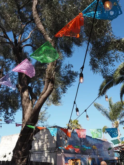 🌎 Best U.S. Cities for Solo Female Travelers ⭐️