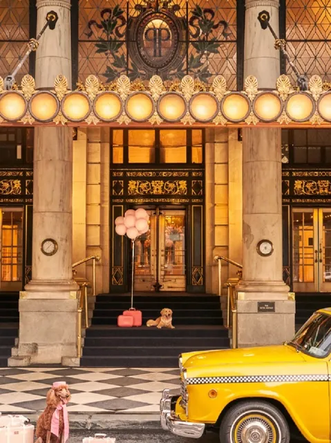 Irreplaceable Status | The Plaza (1)🌟