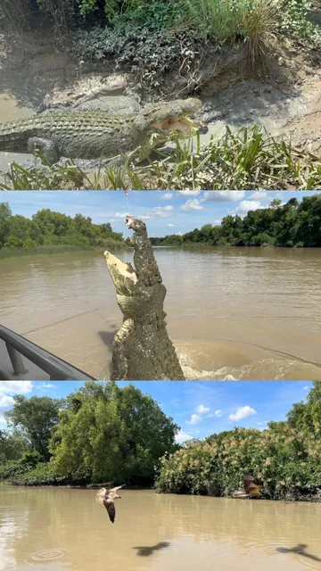 🇦🇺 Darwin Travel Guide | A Detailed (and Rambling!) Recap 🌿