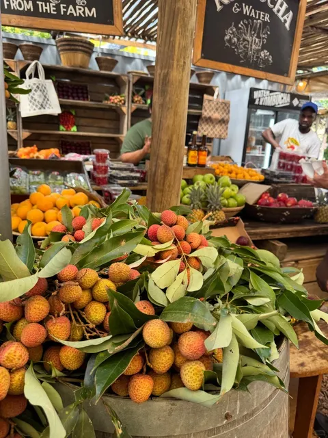 🇿🇦 Cape Town’s Most Vibrant Market: Oranjezicht Farm Market!