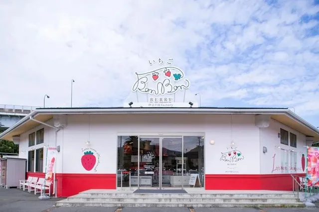 Must-Try Desserts and Tea in Shizuoka Prefecture 🍓🍵