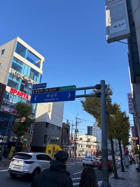 Busan Blue 🇰🇷 | Post-Busan Withdrawal Hits Hard 🌊🥹