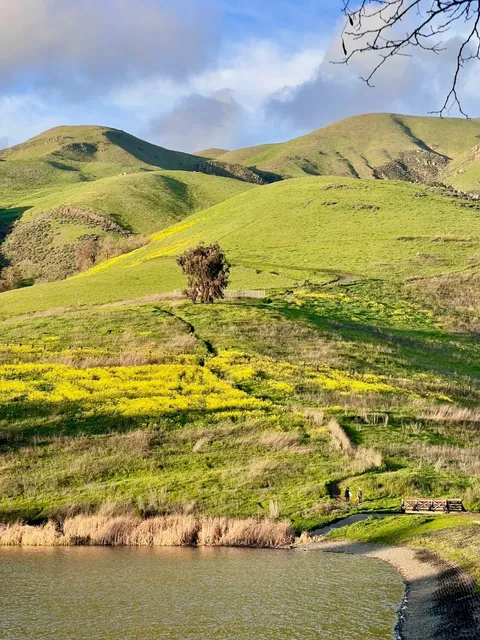 🇺🇸 Wow~ This is in San Jose, California – NOT New Zealand! 🌈😍