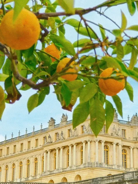 A Treasure Guide to Visiting Nine Landmarks in Paris