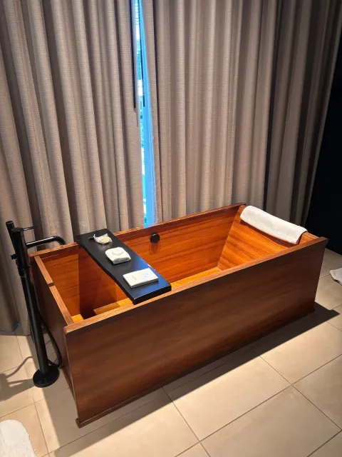 The Absolute BEST Luxury Hotel Experience Ever! 