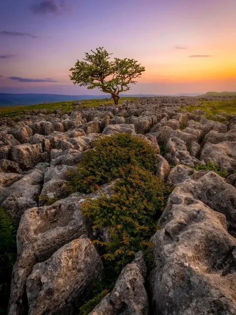  This is Why We Love UK National Parks! 😍🏞️