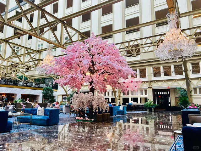 Waldorf Astoria Washington DC 🏨💮