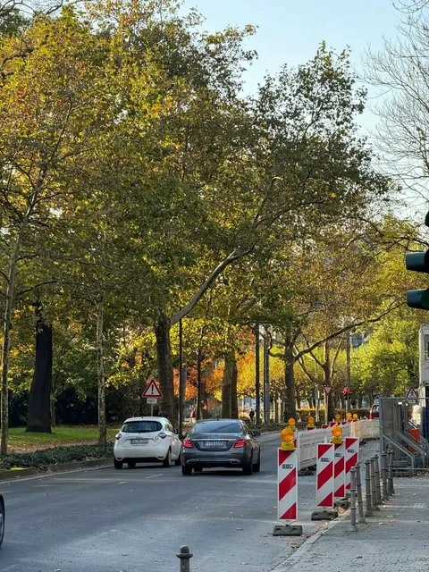 🇩🇪 Frankfurt | A Chengdu Local Finally Experiences Autumn 🍂