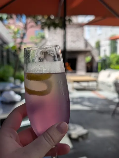 A Must-Visit Lunch & Dinner Spot! 🍽️✨