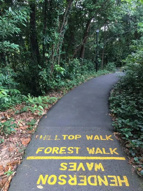 🌟 Singapore: A Hidden Gem I Recommend You Visit 🌟