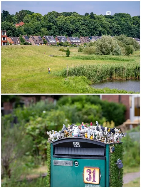 🌷 Cycling Through Wageningen