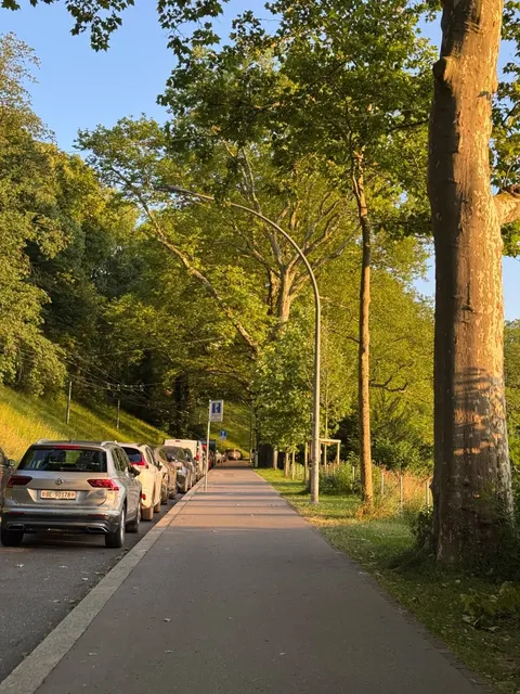 Bern’s Secret Sunset Spot | Where Time Stands Still in Golden Light 