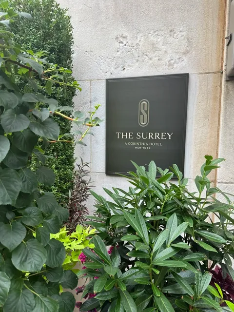 The Surrey, a Corinthia Hotel | Upper East Side, New York (2)🌟