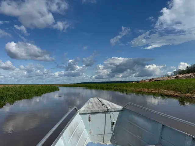 🇧🇷 Solo Female Travel Guide: Amazon Rainforest Adventure from Manaus