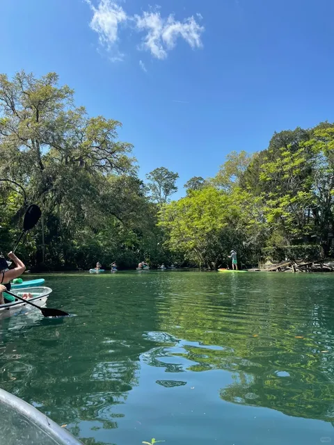 Tampa Manatee Clear Kayaking 🚣♀️