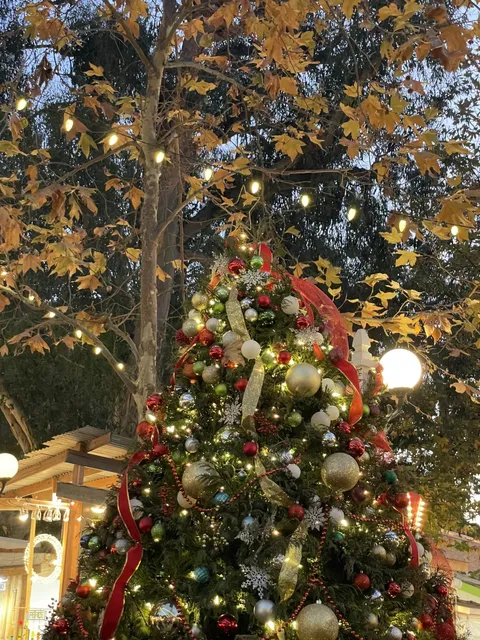 Laguna’s Christmas Market with a Strong Festive Atmosphere