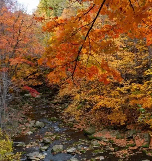 🌲 Rocky River Reservation | Cleveland’s Natural Sanctuary