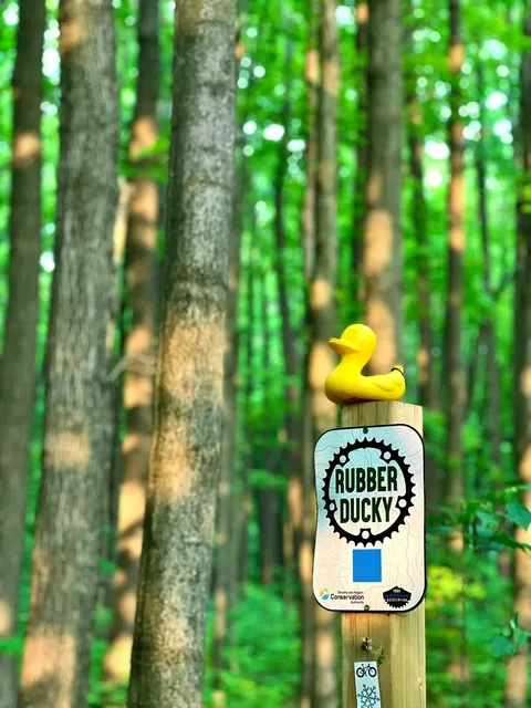 🇨🇦 Richmond Hill’s Natural Oxygen Oasis Trail