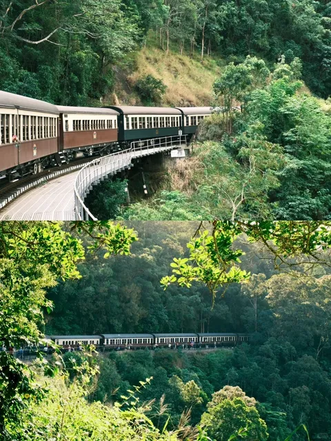 🌿 Kuranda Rainforest | A Day in the Emerald Paradise 👒🌴