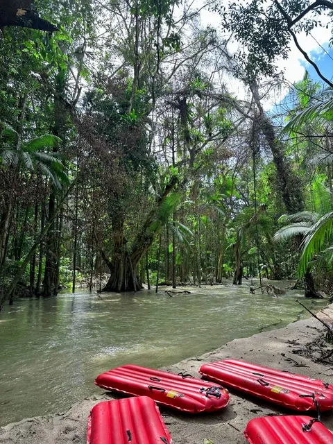 🇦🇺 A Day Healed by Nature: Daintree Rainforest Adventure 🌿💦