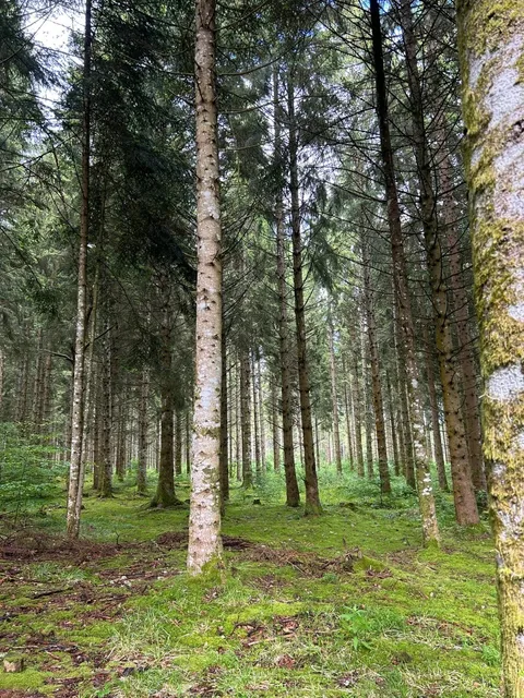 Hiking Puy de Dôme: A Day Trip from Lyon to Clermont-Ferrand
