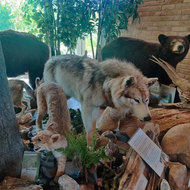 McKinney Museum Trip