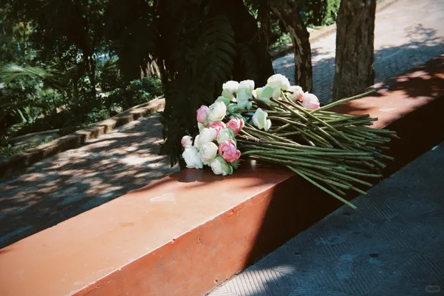 🇰🇭 | Phnom Penh Half-Day City Walk Guide After Midday Arrival 📷