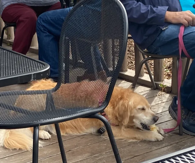  Café Genevieve in Jackson: A Must-Visit!