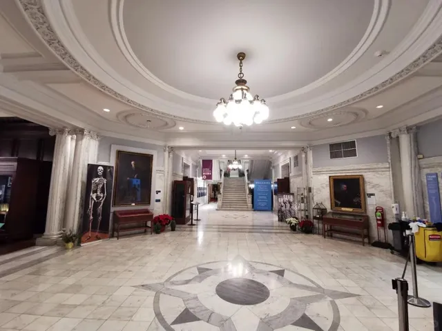 🧠 Mutter Museum: A Haunting Exploration of Humanity’s Fragility 🩺（2）