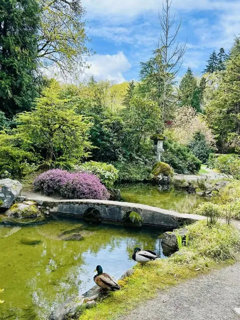 Seattle’s Japanese Garden - Kubota Garden✨