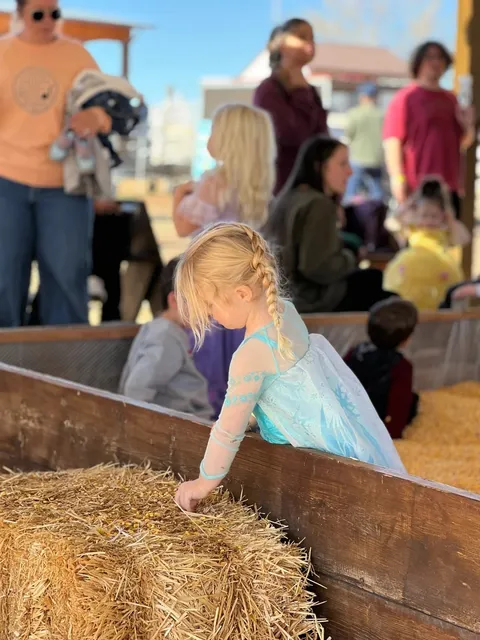 Salt Lake City | Disney of the Countryside 🚜