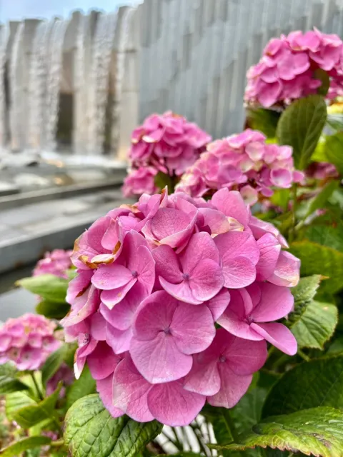 🏙️ A Perfect Stay at the Heart of Union Square!